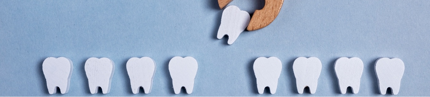 Wooden clasp taking a tooth out of row of wooden teeth